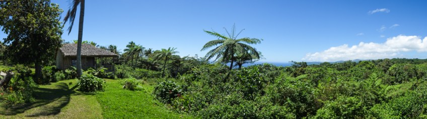 Our little cabin amongst the jungle