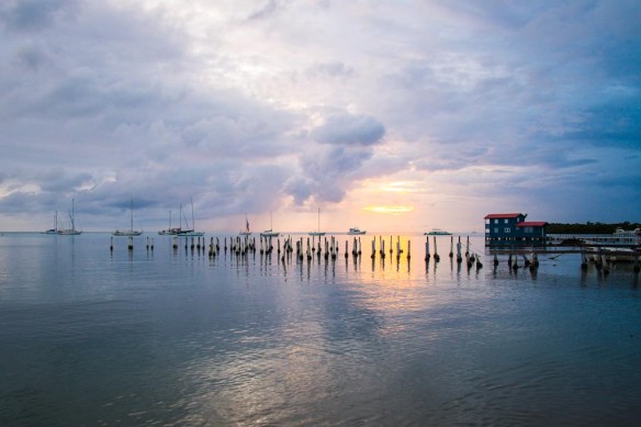 Fantazia Caribbean-9079