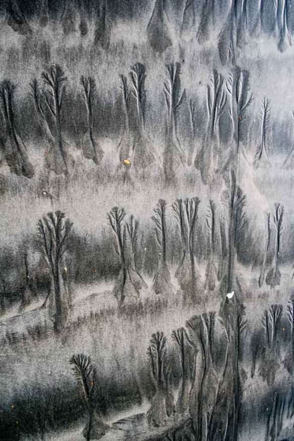 Walking on Waiheke-7993